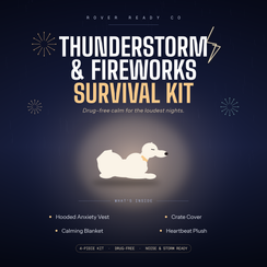 Thunderstorm & Fireworks Survival Kit